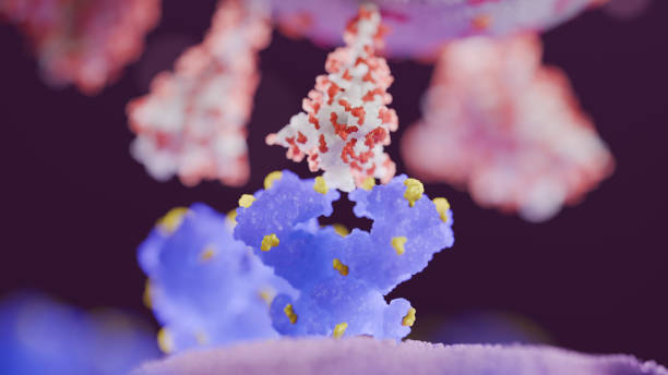 istock Close-Up of COVID-19 Spike Protein Binding to ACE2 Receptor - 3D Rendering 2171979336