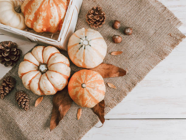 istock Pumpkins and cones on the table. 2171980676