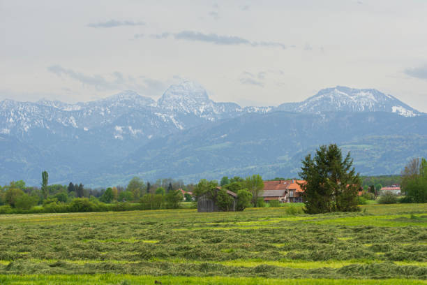 istock Cultivated fields with Mount Wendelstein in the background 2171980841