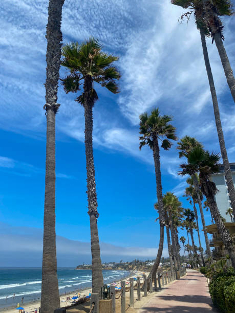 istock California beach with palm trees on brick path 2171982764