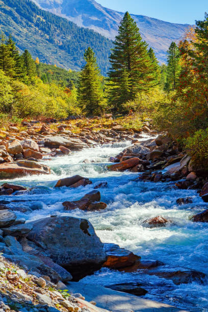 istock Rocky banks of the stream 2171987749