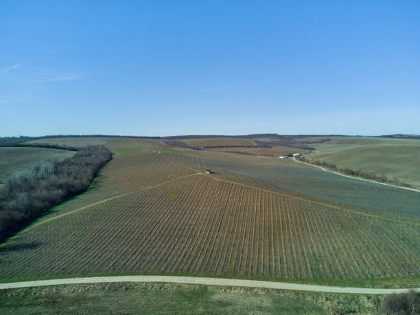 istock Early spring vineyards and a house on a hill from drone 2171991567