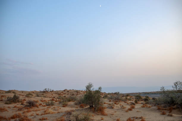 sandy landscape with a road. with a small sandy vegetation .. evening time