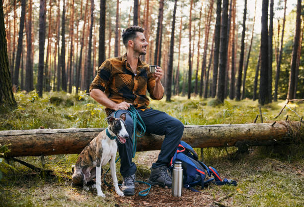 Man with whippet dog resting during hike in forest