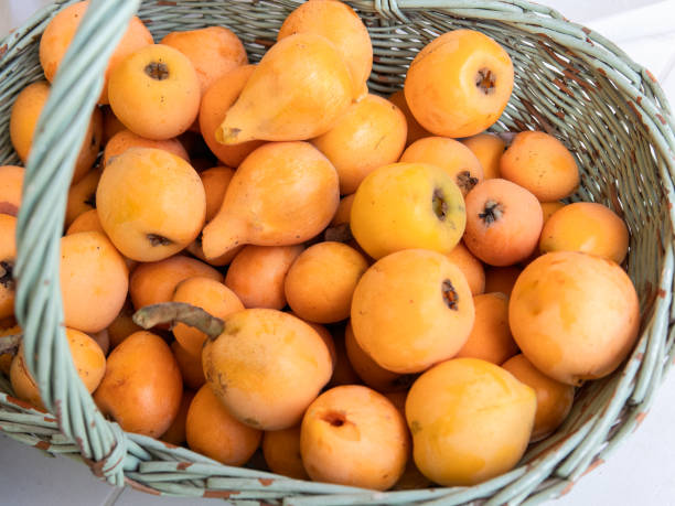 istock Fresh ripe loquats in basket 2171993513