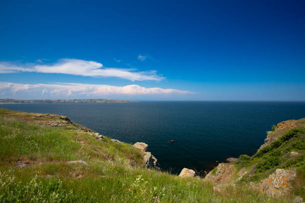 Rocky coast, spring meadows and wilderness with wildflowers in Bulgaria, Cape Agalina, travel wallpaper, background for design