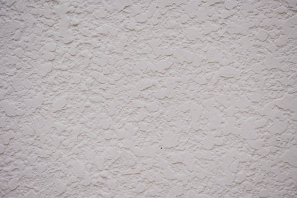 Close-up image of a rough textured white wall, highlighting the subtle patterns and details of the surface.
