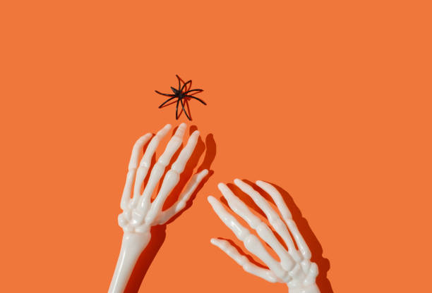istock Skeleton hand reaching to black spider on orange background. Minimal Halloween concept. 2172016690