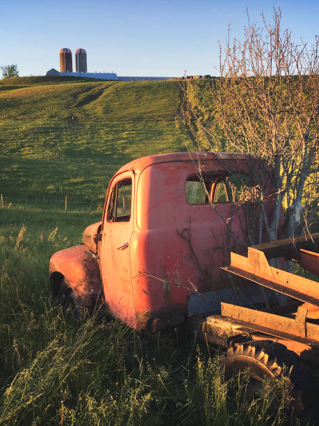 An abandoned farm truck in the back pasture of a farm.