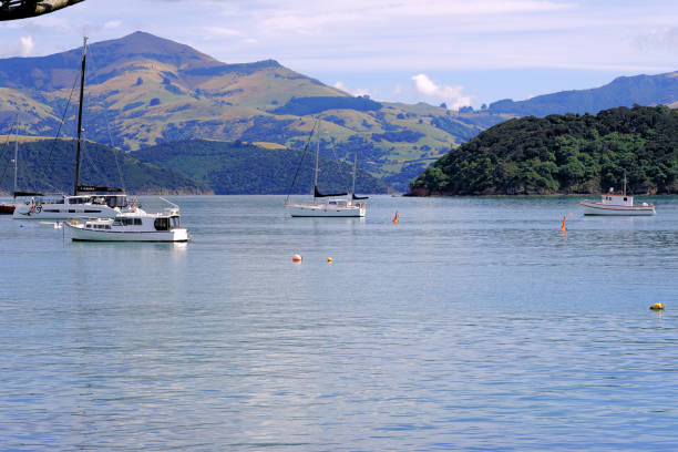 istock New Zealand South Island 2172021440
