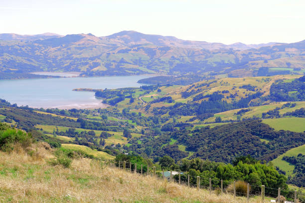 istock New Zealand South Island 2172022473