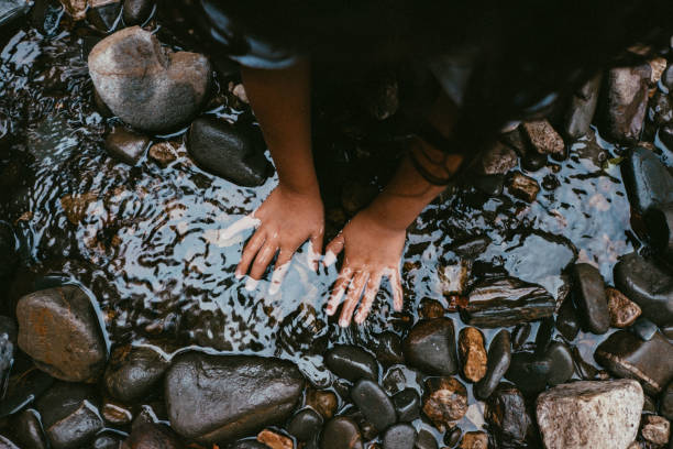 istock nature in Portugal 2172027139
