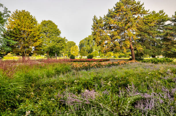 Summer garden
