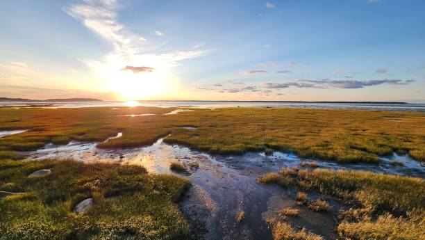 istock Sunset in Rimouski 2172029782