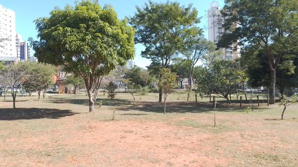istock Nature reserve within the panoramic city 2172030497