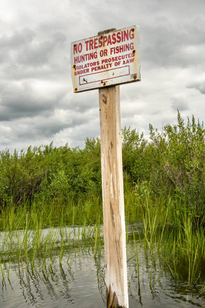 istock Broomes Island, Maryland USA 2172032432