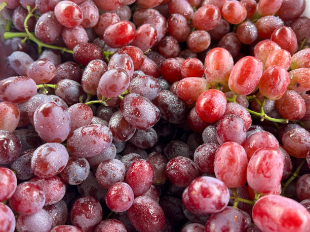 istock red grapes in market 2172032790