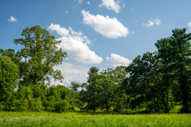 Scenery of Valley Forge National Park in Summer, Pennsylvania, USA