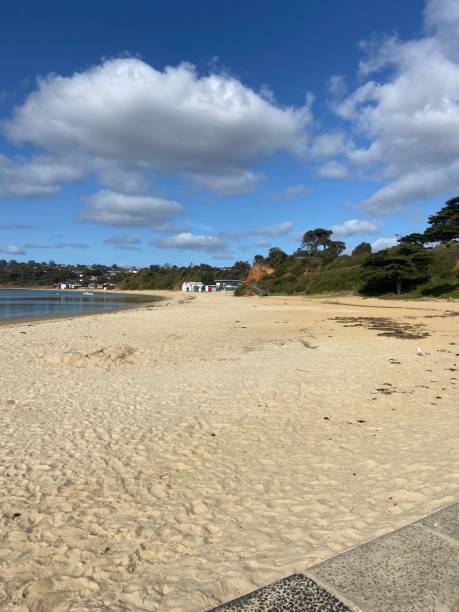 istock Mother Beach Mornington - early Spring 2024 2172039216