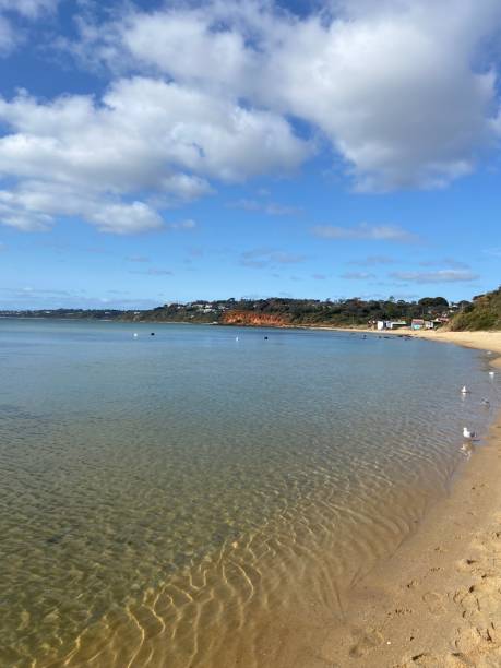istock Mother Beach Mornington - early Spring 2024 2172039226