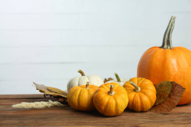 istock Thanksgiving day. Composition with many different pumpkins on wooden table, space for text 2172040493