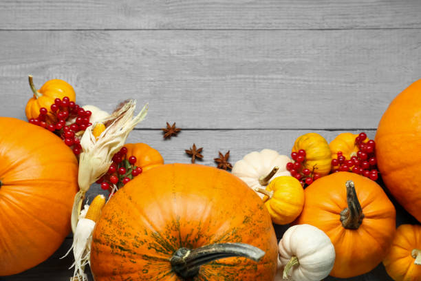 istock Thanksgiving day. Flat lay composition with pumpkins on grey wooden table, space for text 2172040524