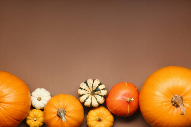 Three different types of pumpkins on display in Ludwigsburg, Germany