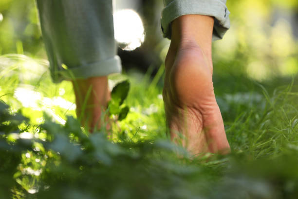 istock Woman walking barefoot on green grass outdoors, closeup 2172043009