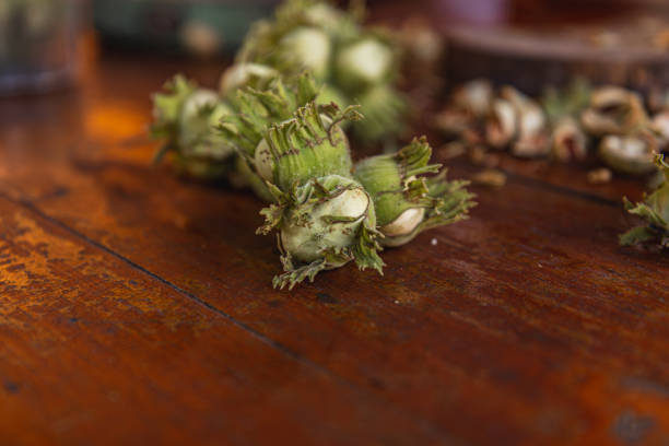 An elderly man cleans hazelnuts with a hammer High quality photo
