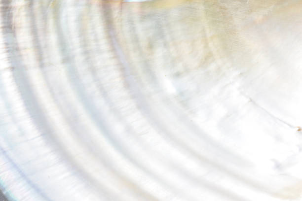 istock Mother of pearl shell texture 2172045032