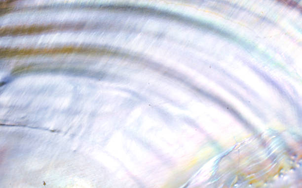 istock Mother of pearl shell texture 2172045033
