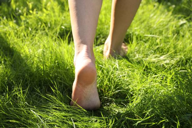 istock Woman walking barefoot on green grass outdoors, closeup 2172046217