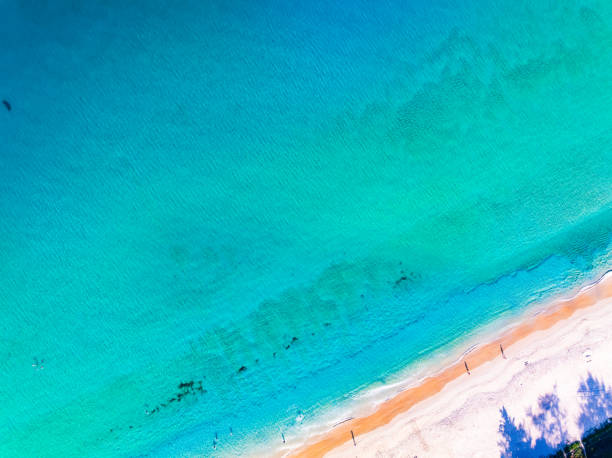 istock Top view waves crashing on sandy shore, Beach sea space nature background 2172048056