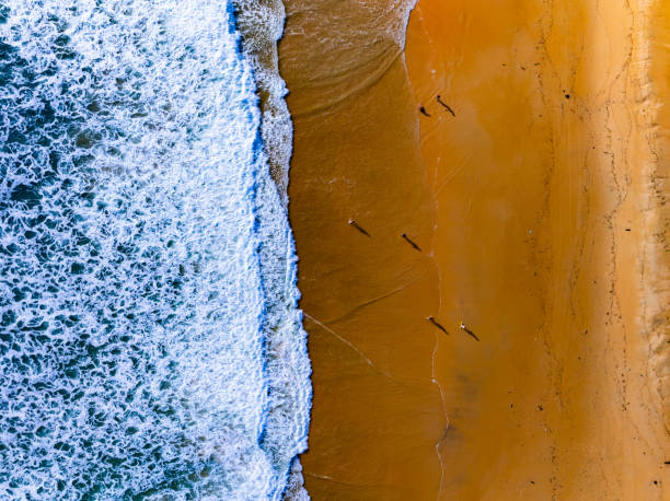 istock Top view waves crashing on sandy shore, Beach sea space nature background 2172048082