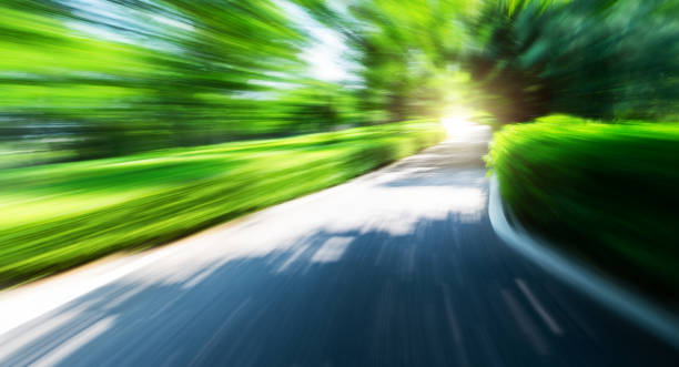 Motion blur empty road in the jungle