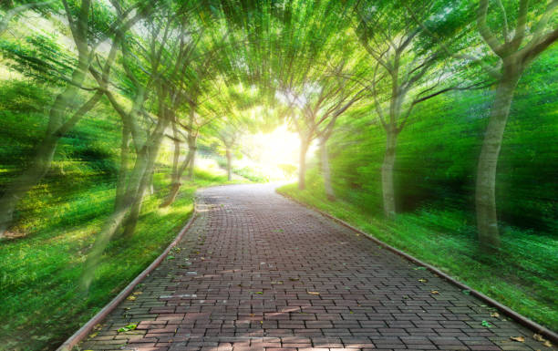 Blurred motion green trees and walkway in the park