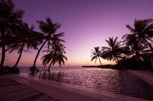 Tropical paradise beach swimming pool during the dusk