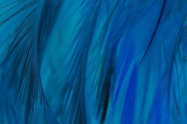 istock Beautiful  dark blue vintage color trends feather pattern texture  background 2172055724