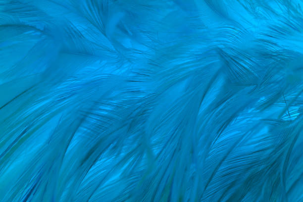 istock Beautiful watercolor dark blue feather pattern texture background 2172055750