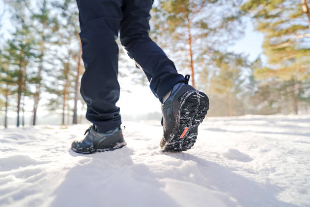 istock person walking in winter forest 2172056786