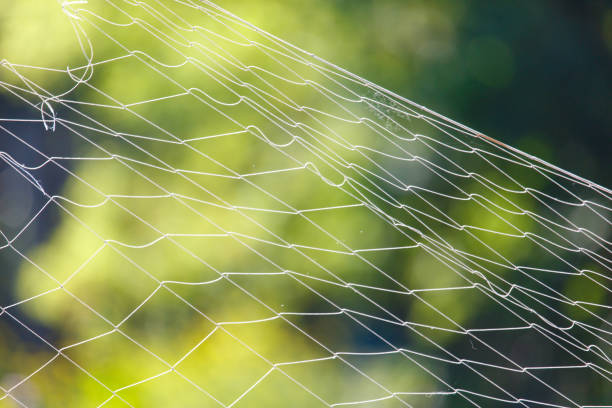 Woven net against the backdrop of nature in summer.