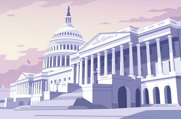 The United States Capitol Building At Dawn Vector illustration of the United States Capitol building in Washington D.C., at dawn. us constitution stock illustrations