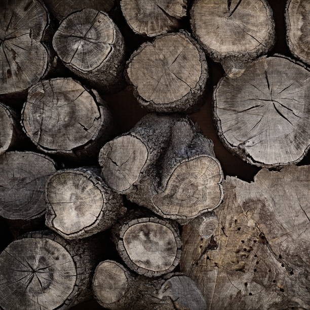 istock Overhead View Of Stacked Aged Wood Logs Texture 2172065472