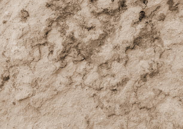Detailed Sepia Earthy Soil Texture Close-Up