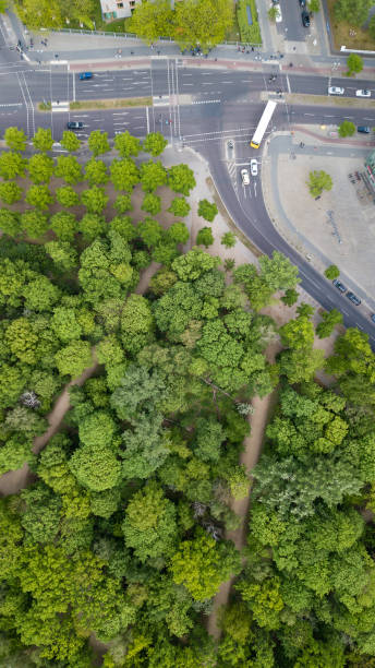 istock Aerial view of trees in Berlin, Germany 2172070788
