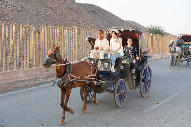 Tourists travel in carriages to visit Egyptian temples