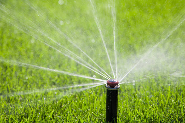 istock Sprinkler spraying water on the green grass with bokeh background 2172076464