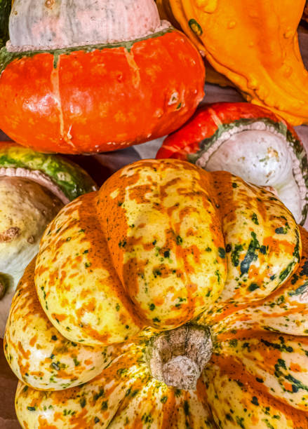 Close-up of colourful squashes and pumpkins. High quality photo
