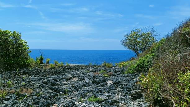 istock Natural views, with a clear sea and clear sky in the background 2172093075