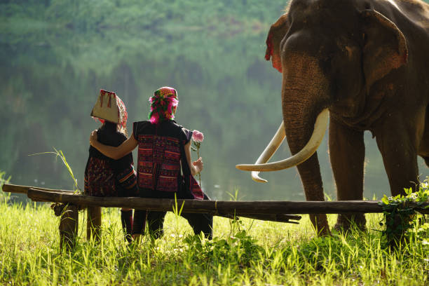 istock Back view tourist couples watching Asian elephants. 2172097639